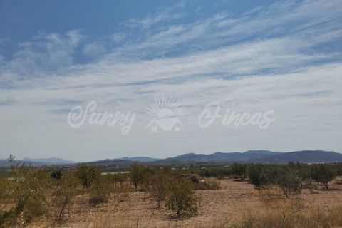 Helårsgrund i Raspay, Murcia, Raspay - € 22.900 | Ref: SF0356 - foto 9